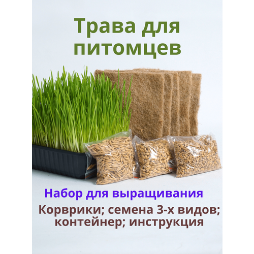 Трава для кошек. Набор для выращивания.