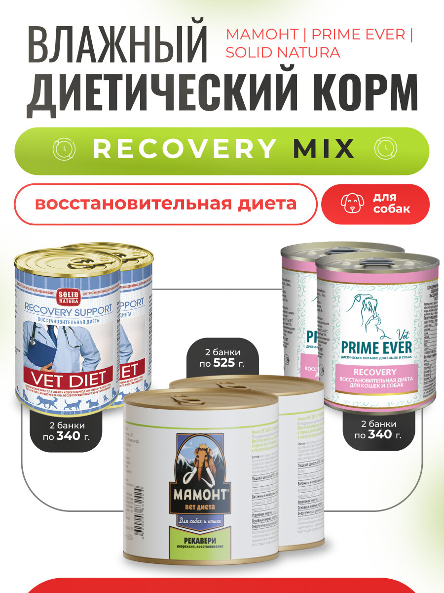 Влажный корм для кошек и собак в период восстановления Recovery Support МИКС упаковка 6 шт