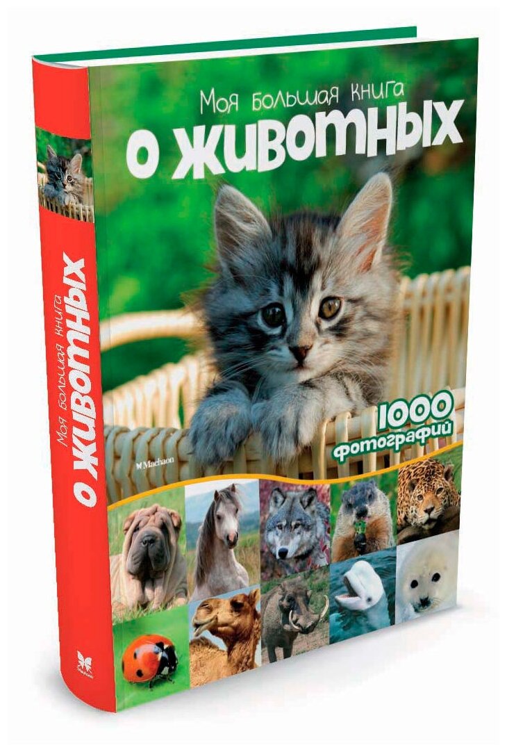 Моя большая книга о животных 1000 фотографий Книга Бологова Валентина 6+