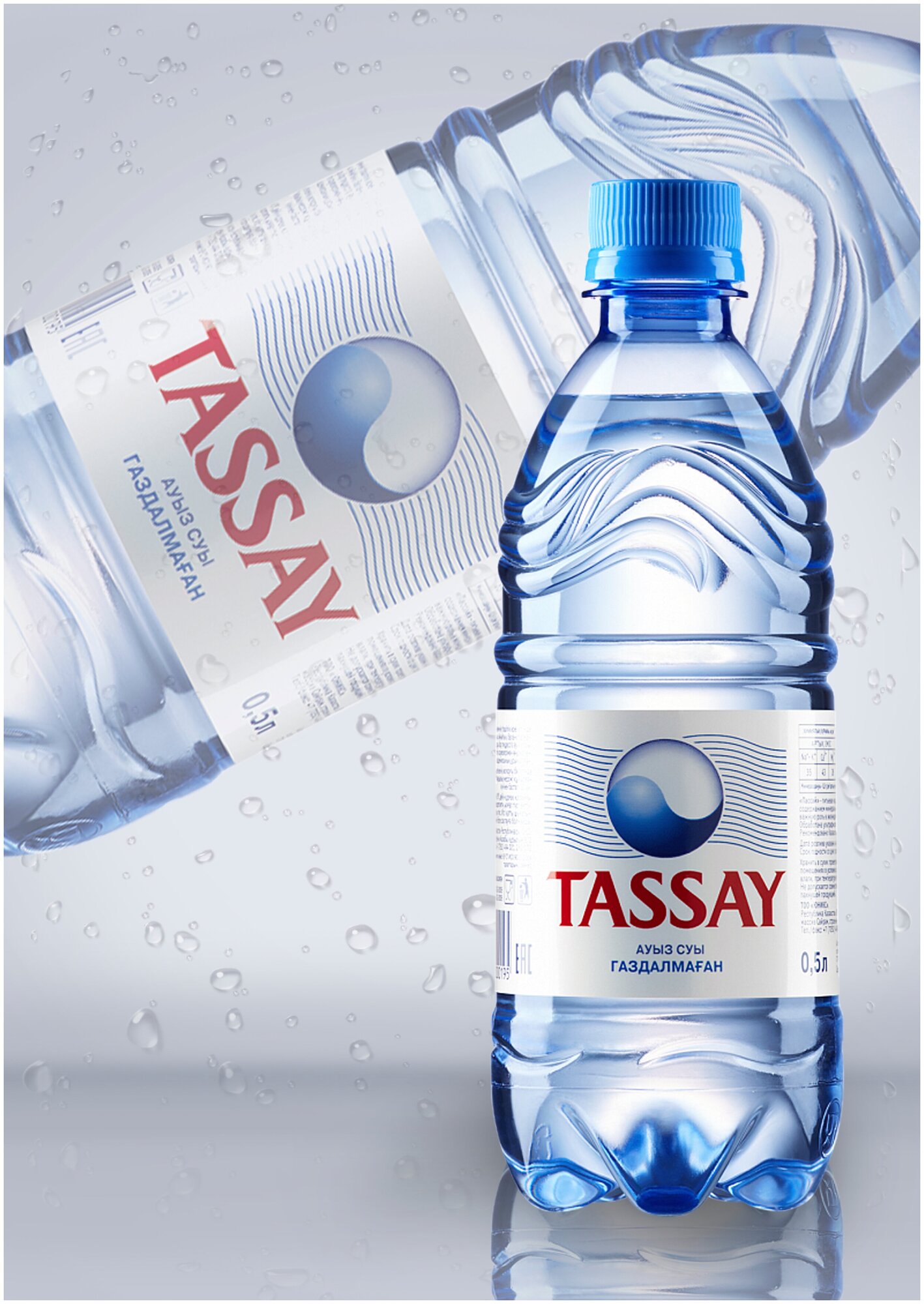 TASSAY/ тассай/ Минеральная природная столовая питьевая вода/ негазированная/ 12 шт. по 0,5 л - фотография № 6