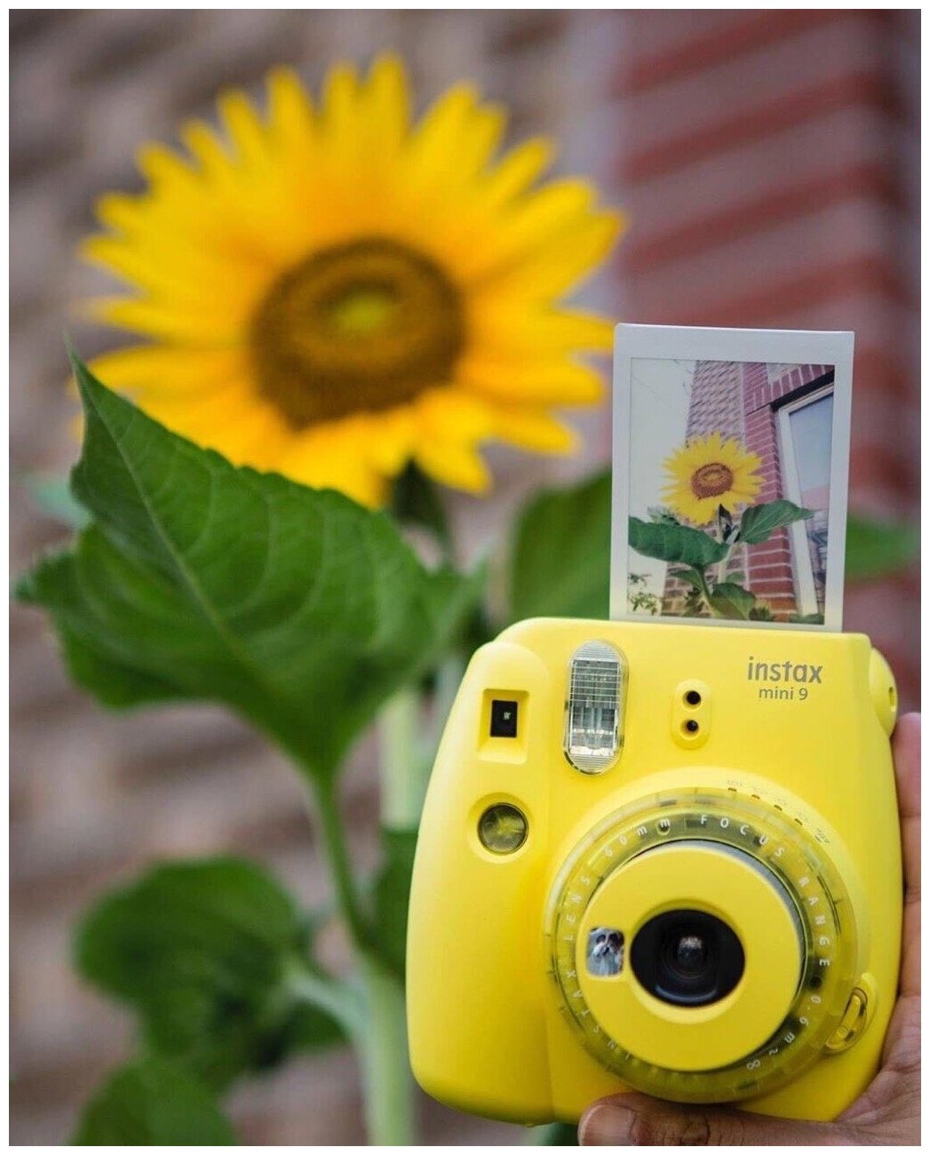 Картридж для моментальной фотографии Fujifilm Instax Mini Glossy