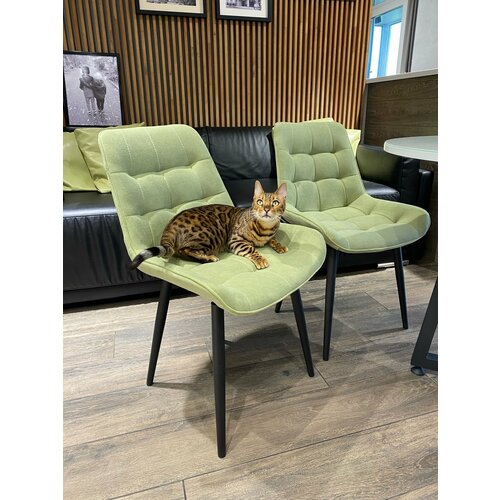 Комплект стульев на кухню в цвете Форест (2 шт)