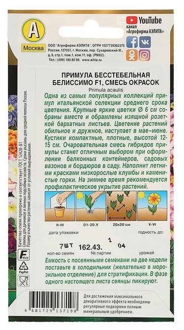 Семена цветов Примула "Белиссимо" смесь окрасок, F1, 7 шт 5381512