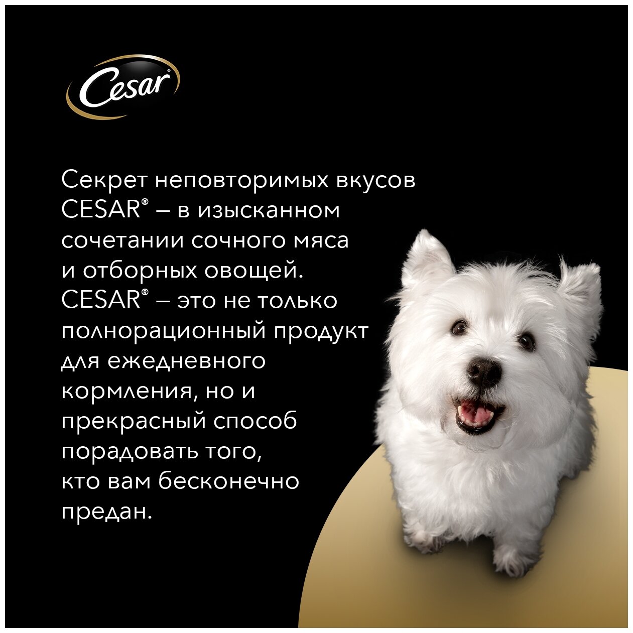 Cesar Паучи для взрослых собак с говядиной кроликом и шпинатом в соусе 85г 10222843 0,085 кг 43489 (2 шт)