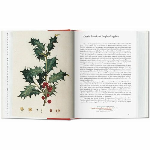 A Garden Eden. Masterpieces of Botanical Illustration - фото №17