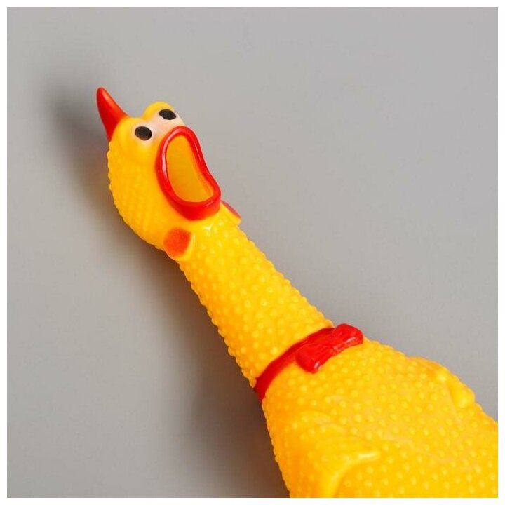 Игрушка пищалка «Курица», 30 см, в пасти - фотография № 3