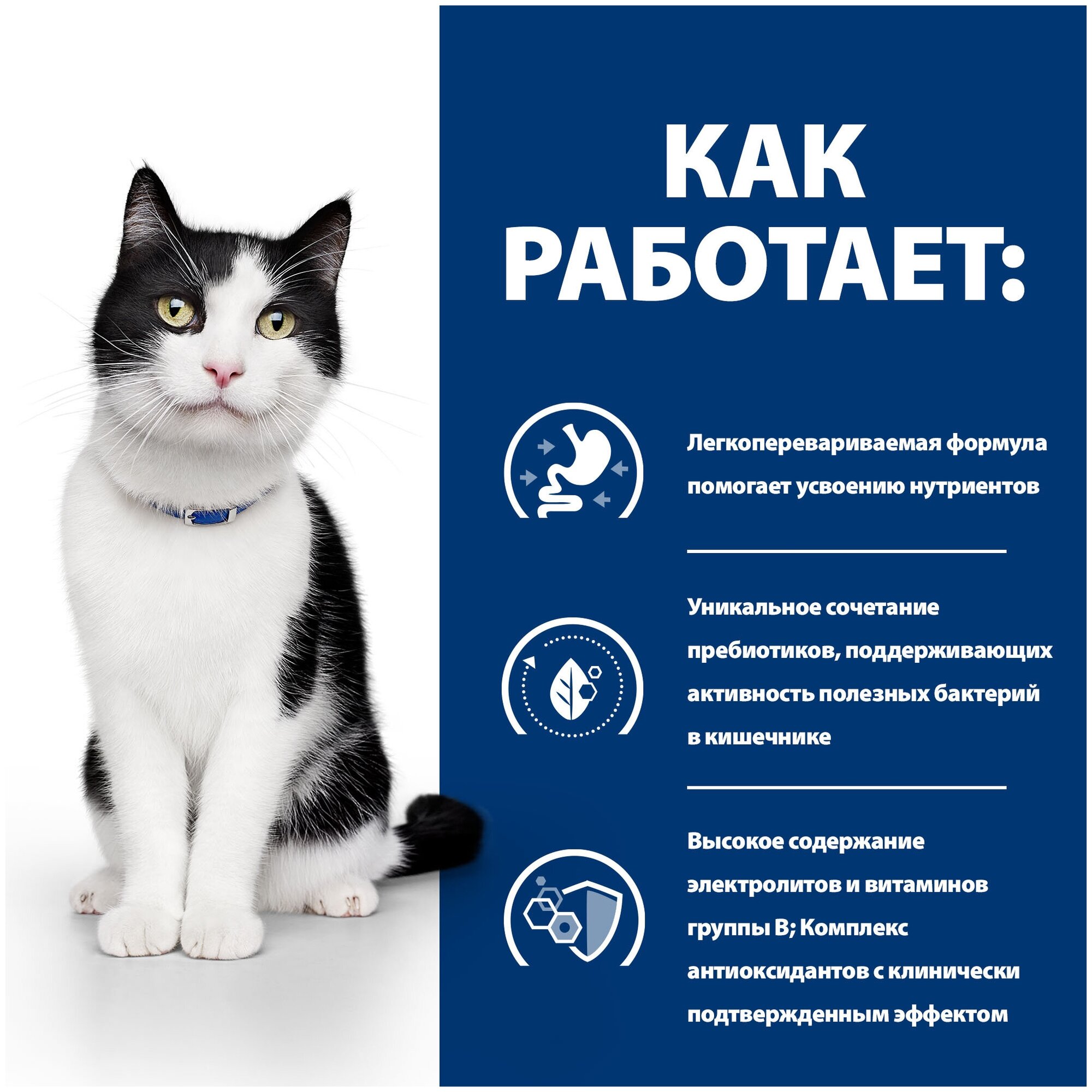 Влажный корм Hills Prescription Diet i/d Feline with Chicken
Pouch диета для кошек 0,085 кг HILL'S - фото №4