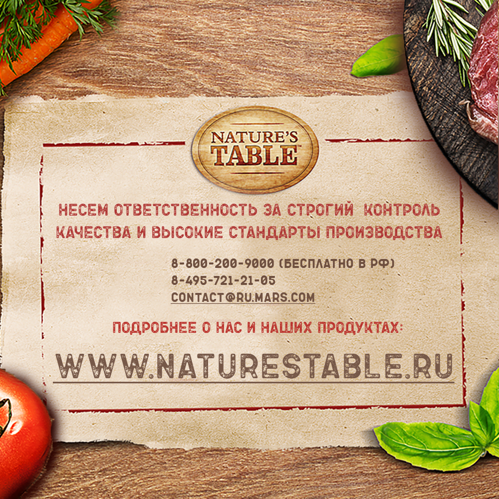 Влажный корм для кошек Nature’s Table™ Говядина в соусе, 28 шт по 85г - фотография № 14