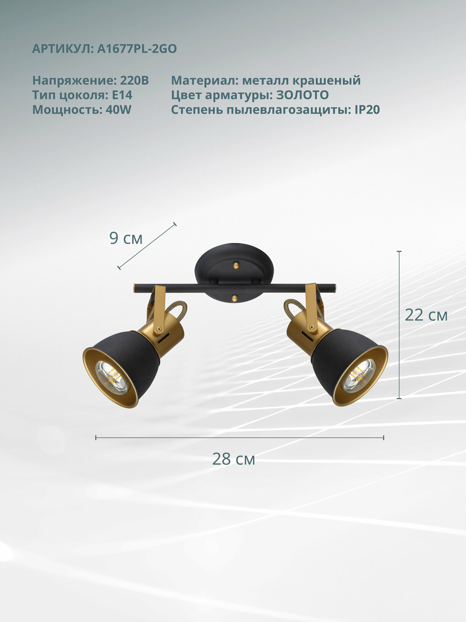 Спот Arte Lamp JOVI A1677PL-2GO