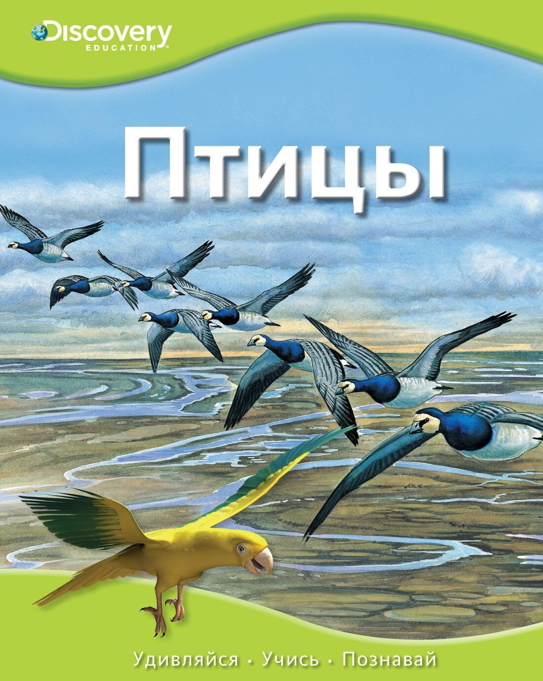 Птицы (Красновская О. (ред.)) - фото №1