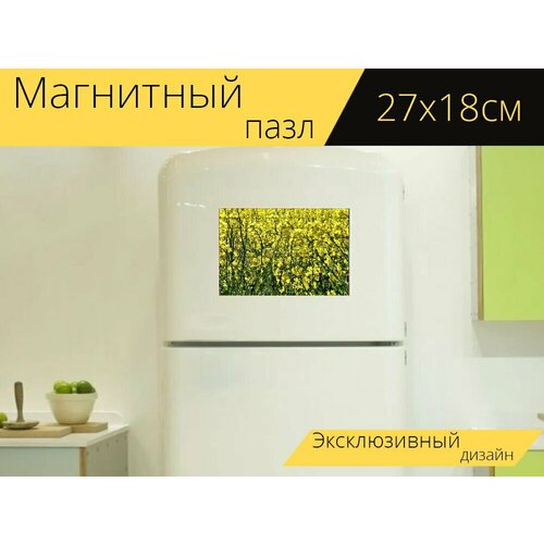 Магнитный пазл Рапс, поле рапса, пейзаж на холодильник 27 x 18 см. магнитный пазл поле рапса в полном расцвете желтый на холодильник 27 x 18 см