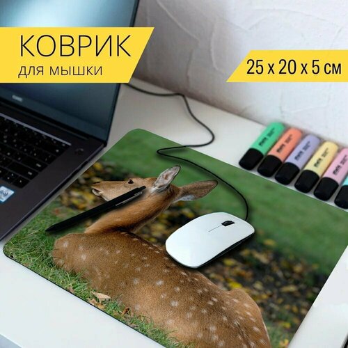 Коврик для мыши с принтом Косуля, животное, дикая природа 25x20см.