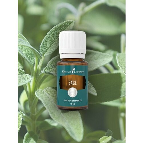 Янг Ливинг Эфирное масло Шалфей/ Young Sage Essential Oil, 15 мл