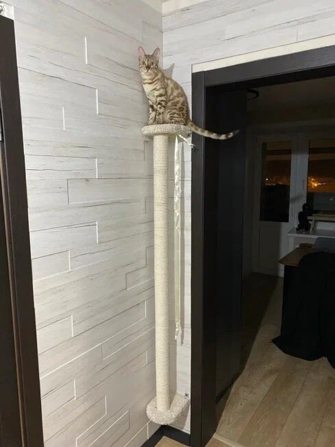 Когтеточка для кошек настенная Моя Котя "Александрийский столп" белая с хлопковыми столбиками