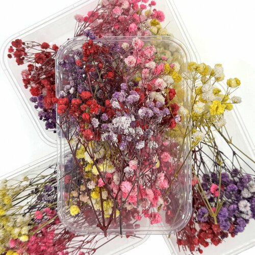 Сухоцветы Гипсофилы, набор 4 цвета комбинированный, разноцветный