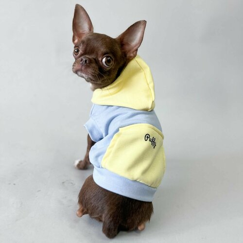 Толстовка для собак мелких пород Puffy Краски 1237₽