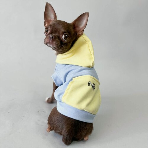 Изображение товара Толстовка для собак мелких пород Puffy Краски