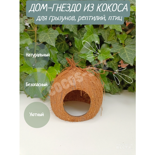 Дом-гнездо из кокосовой скорлупы для животных