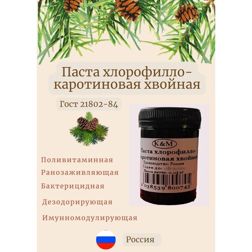 Хлорофилло-каротиновая паста 50 гр