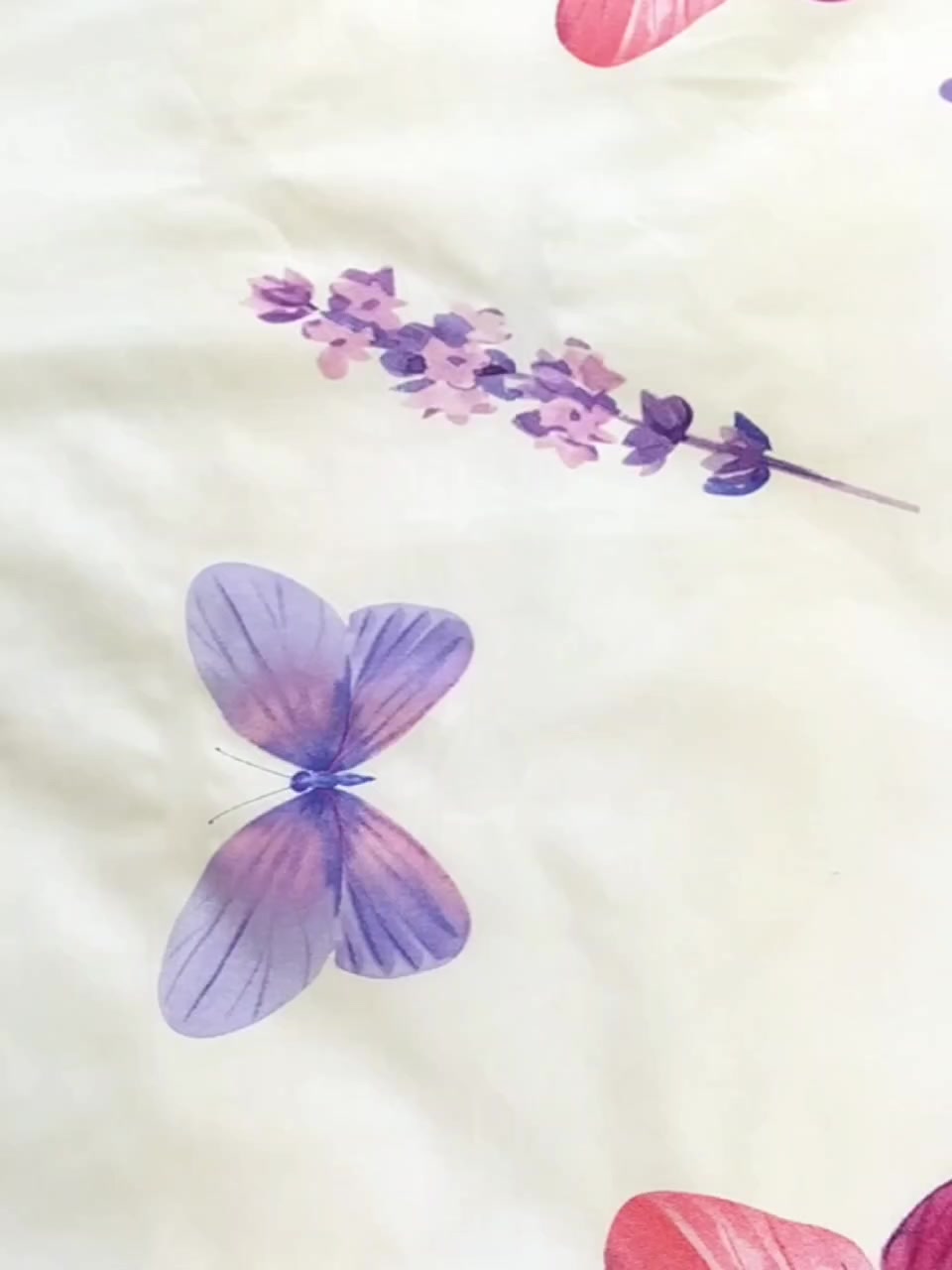 Постельное белье семейное с бабочками Cleo Pure cotton комплект 2 пододеяльника хлопок поплин — фото 1