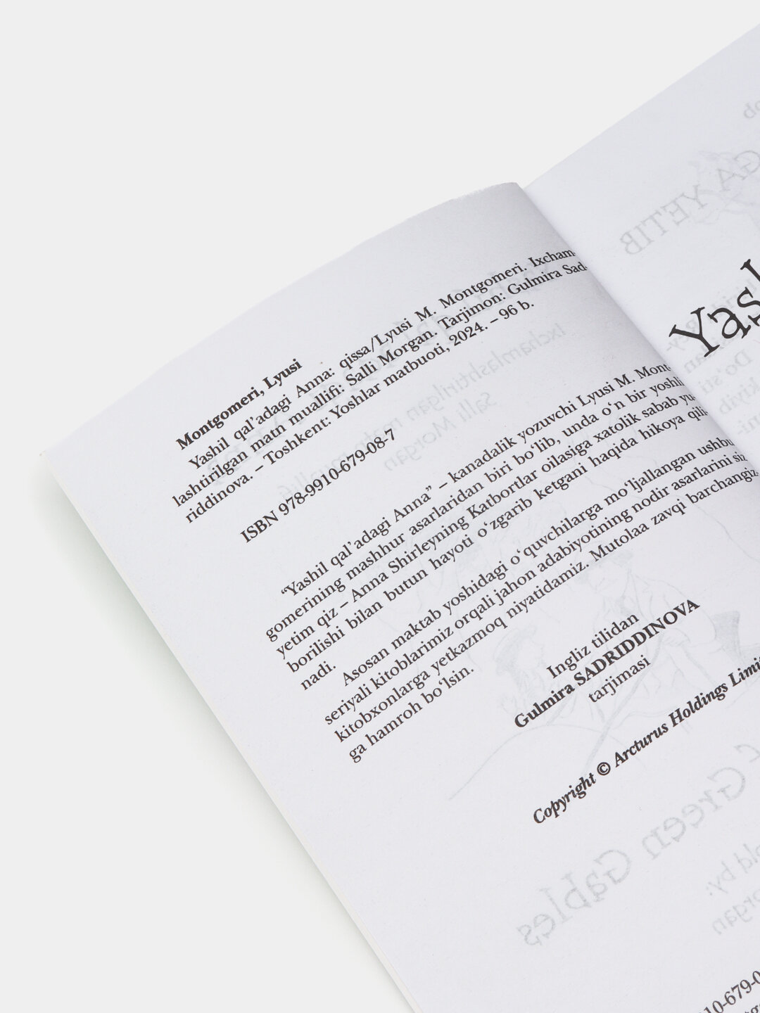 Яшил каъладаги Анна. Люси М. Монтгомери — фото 1