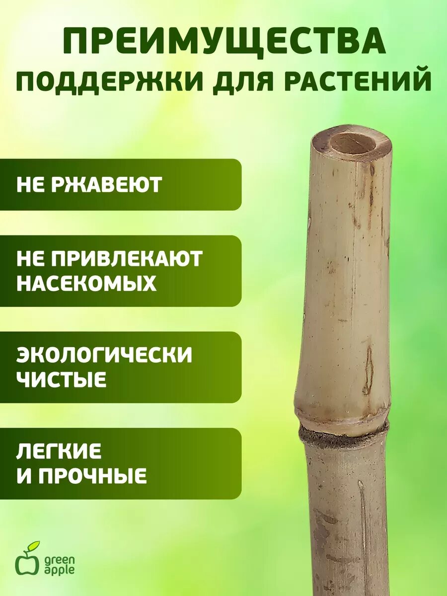Опора для растений и цветов GREEN APPLE бамбуковая GBS-8-180 180 см х 8 мм, 5 шт — фото 1