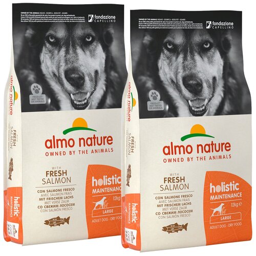 ALMO NATURE ADULT DOG LARGE & SALMON для взрослых собак крупных пород с лососем (12 + 12 кг) almo nature hfc m l adult salmon для взрослых собак средних и крупных пород со свежим лососем 8 8 кг