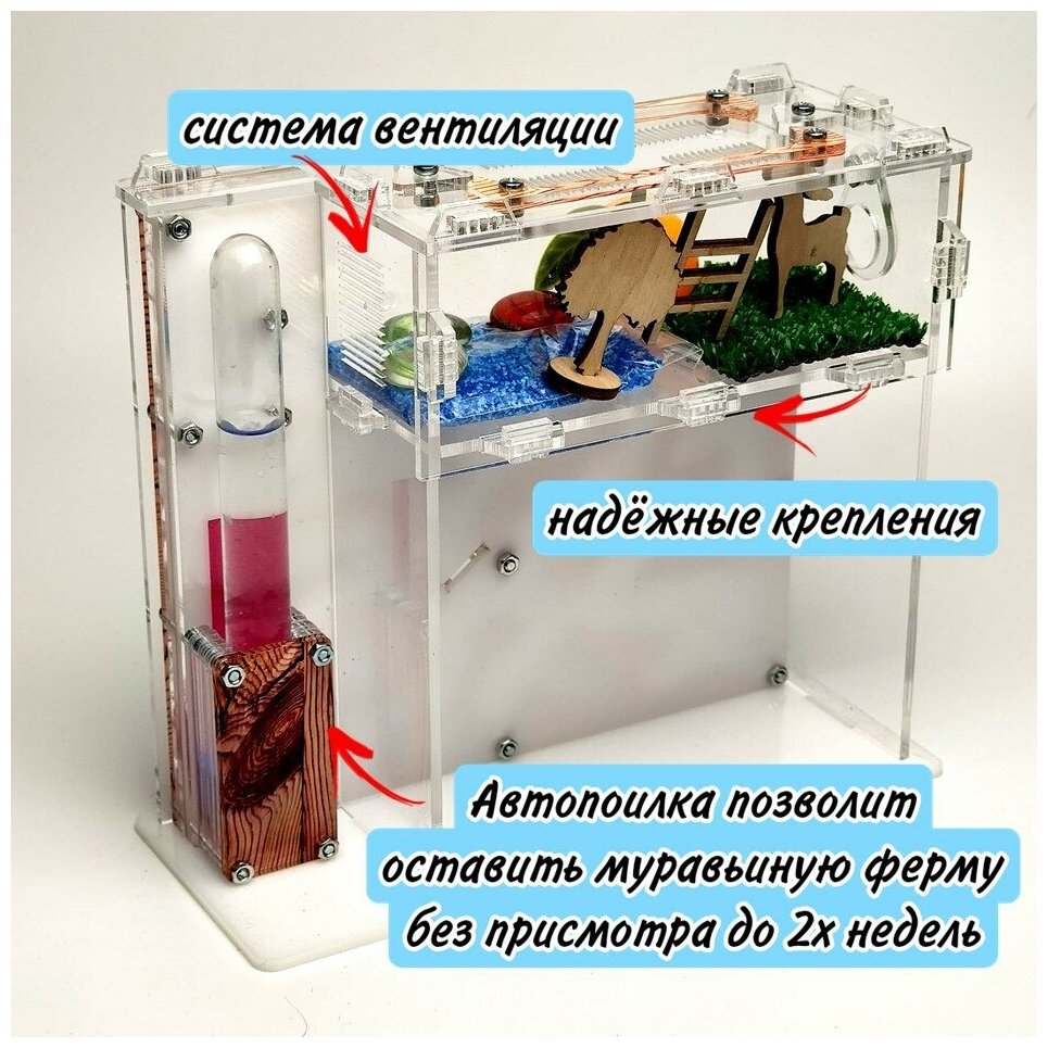 Вертикальная муравьиная ферма "Сосна" XL 17х19см Большой набор - фотография № 4