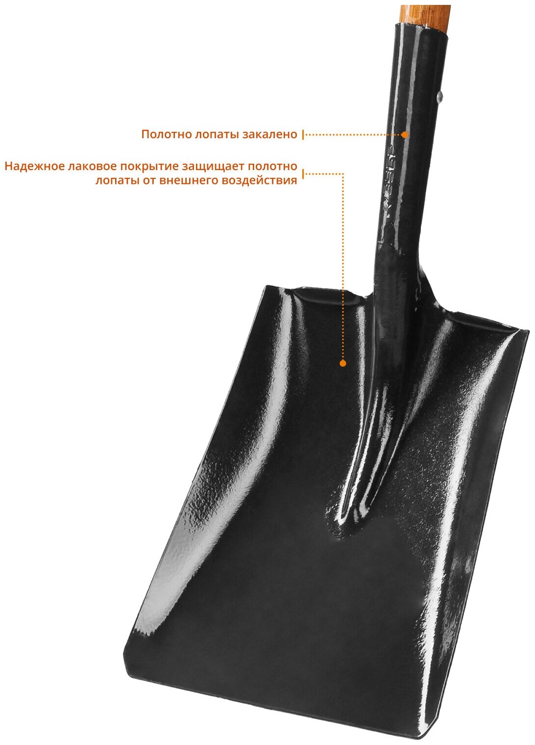 Лопата "Профи-10" совковая, деревянный черенок, с рукояткой, ЗУБР Профессионал - фотография № 4