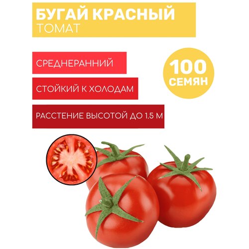 Томат Бугай красный макси 100шт семян