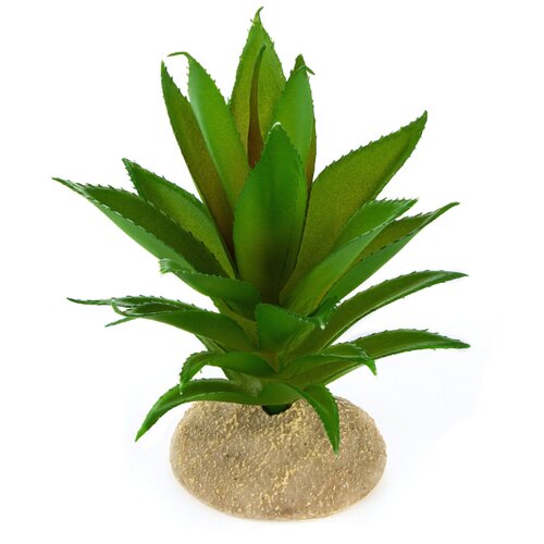 Растение для террариума TERRA DELLA Алое, зелёное, 11x11x13см (Нидерланды)