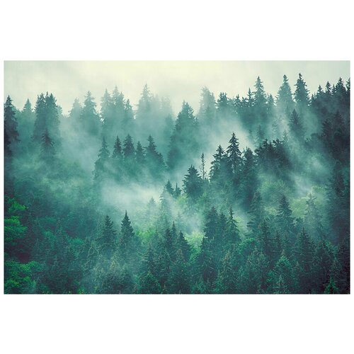 Фотообои 3 д Fotooboikin 