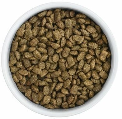 Florida Preventive Line Gastrointestinal сухой корм для кошек "Поддержание здоровья пищеварительной системы" 0.5 кг - фотография № 2