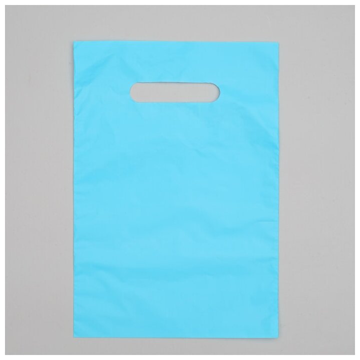 Пакет полиэтиленовый, с вырубной ручкой, голубой, 20x30, 33 мкм./В упаковке шт: 100