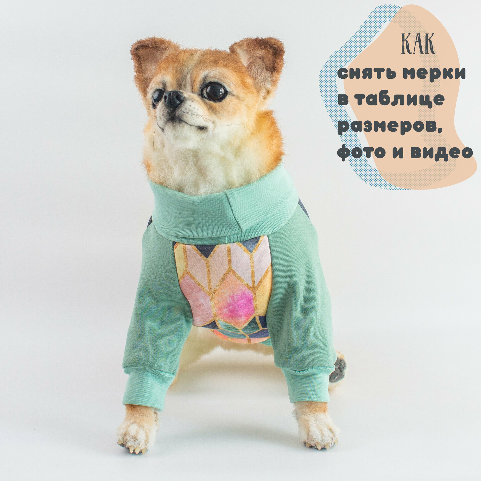 Тёплая кофта для собак Элегантный Кот, Мятные Сладости , размер XXL - фотография № 10