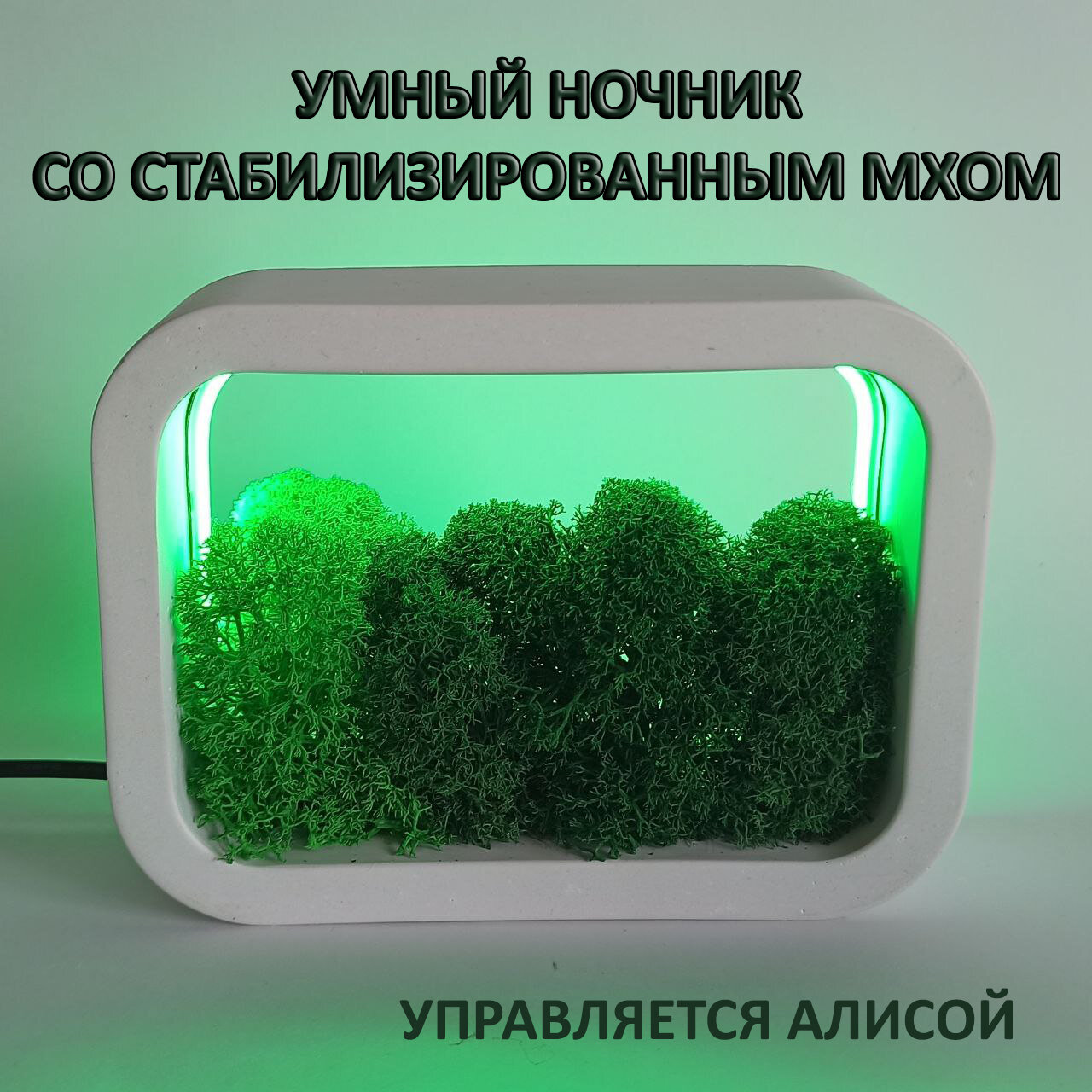 Умный ночник со стабилизированным мхом. Ночник Алиса. Белый. RGB - фотография № 1