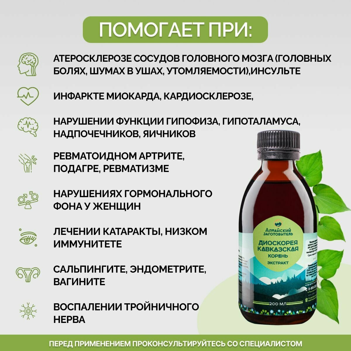 Картинки Экстракт настойка Диоскорея кавказская набор - Алтайский заготовитель, 600 мл