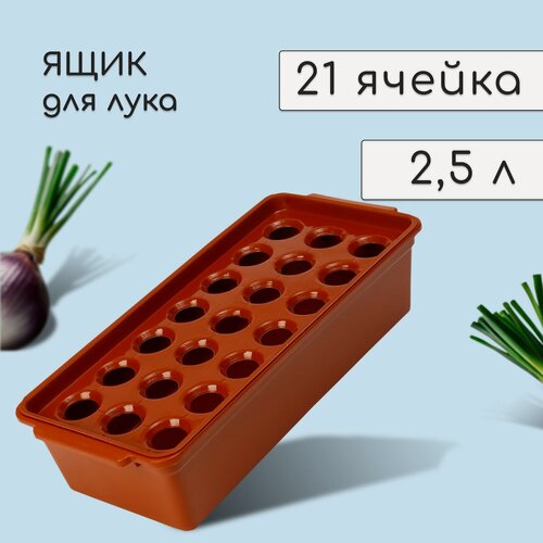 Изображение товара Ящик для рассады, для зелёного лука, 40 × 19 × 10 см, 21 лунка, пластик, красный