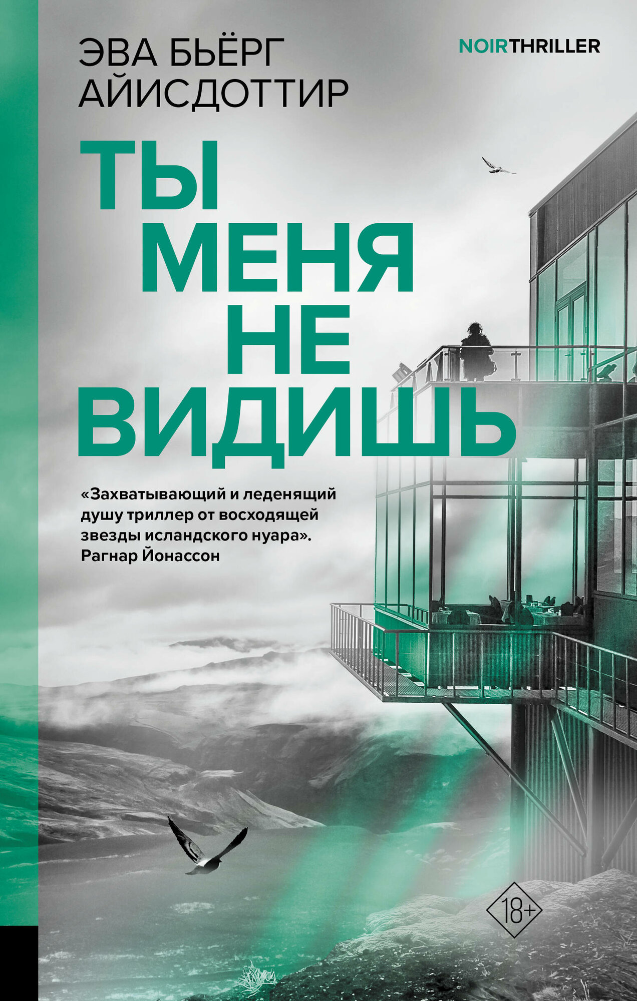 Ты меня не видишь Айисдоттир Э.