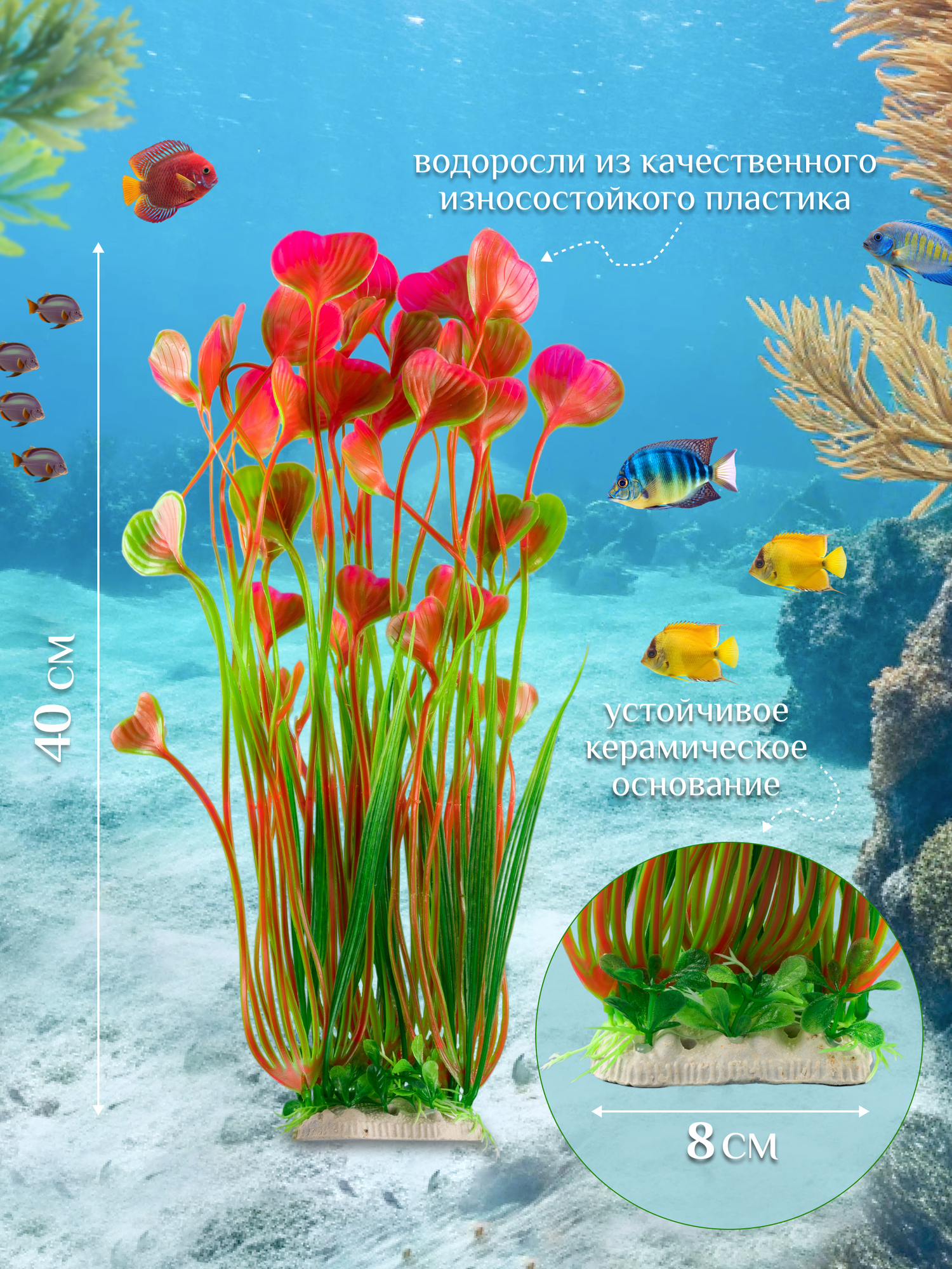 Водоросли для аквариума сердца 40 см, 1 шт, декор для аквариума, D'Mari — фото 1