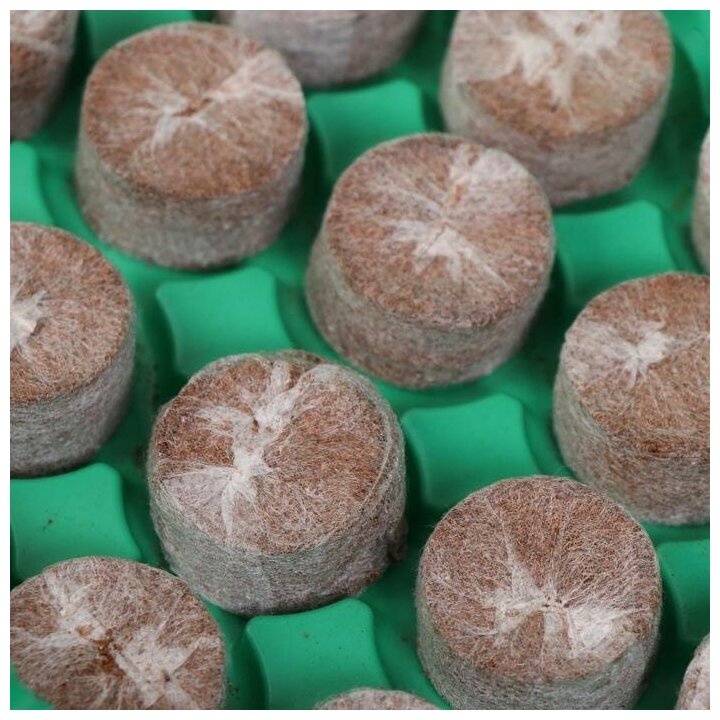 Мини-парник для рассады Sima-land кокосовая таблетка d 3 см, 24 шт, jiffy (5451290) - фотография № 5