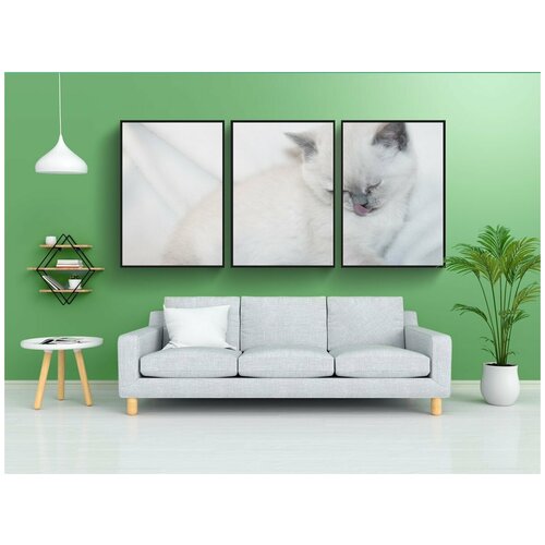 фото Набор модулных постеров для интерьера "кот, китти, щенок" 60x90 см. в тубусе, без рамки lotsprints