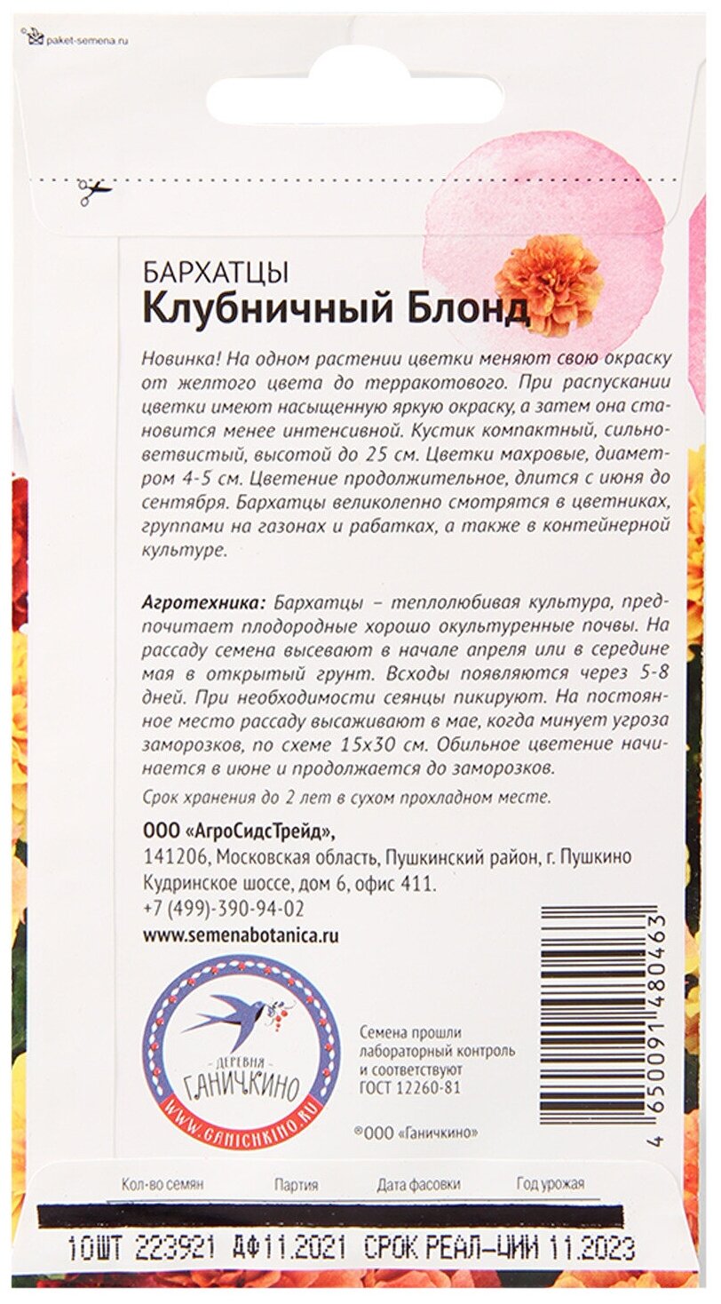 Бархатцы Октябрина Ганичкина - фото №4