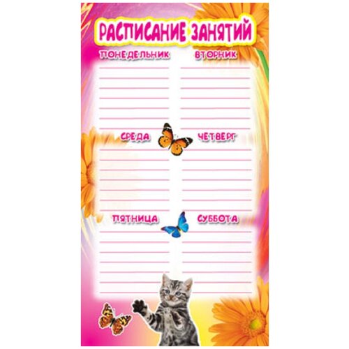 Расписание занятий. Кошка и бабочка Сфера расписание кошка и бабочка 20х11 см 20 шт