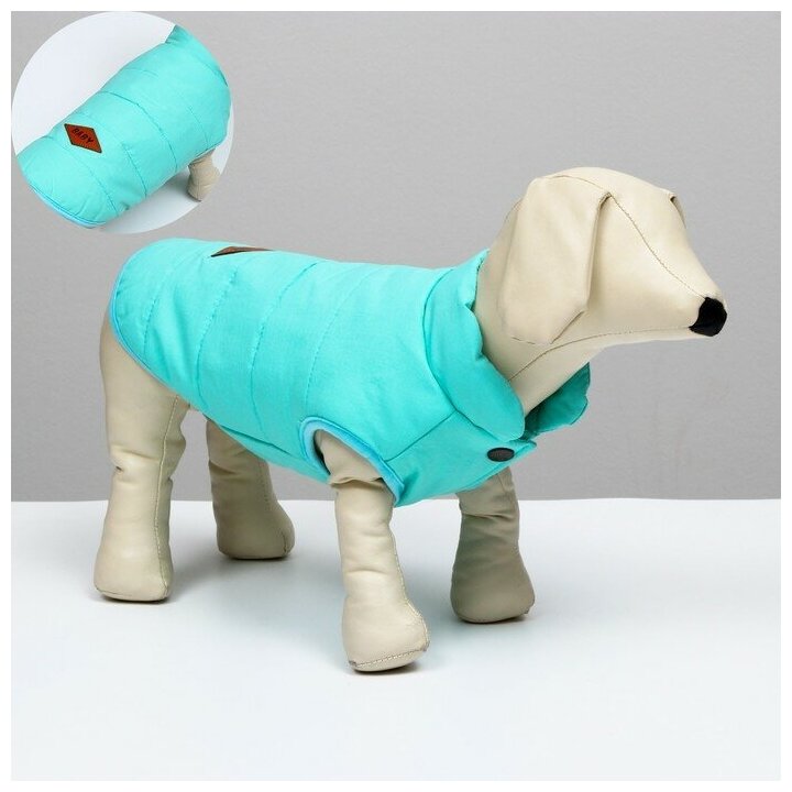 Куртка для собак, S (ДС 20 см, ОШ 23 см, ОГ 32 см), голубая - фотография № 1