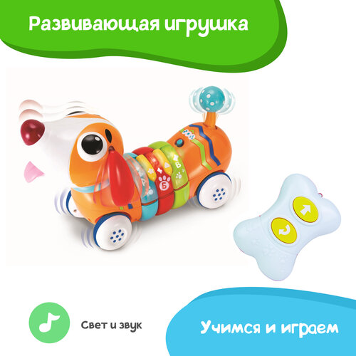 развивающая игрушка winfun пианино звуковые и световые эффекты учимся и играем Развивающая игрушка Winfun Собака такса, звуковые и световые эффекты, учимся и играем, радиоуправление