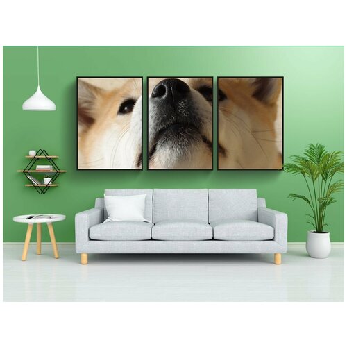 фото Набор модулных постеров для интерьера "собака, сиба ину, нос" 60x90 см. в тубусе, без рамки lotsprints