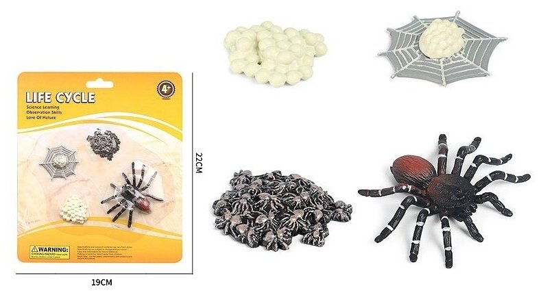 фото Набор фигурок Жизненный цикл Паук