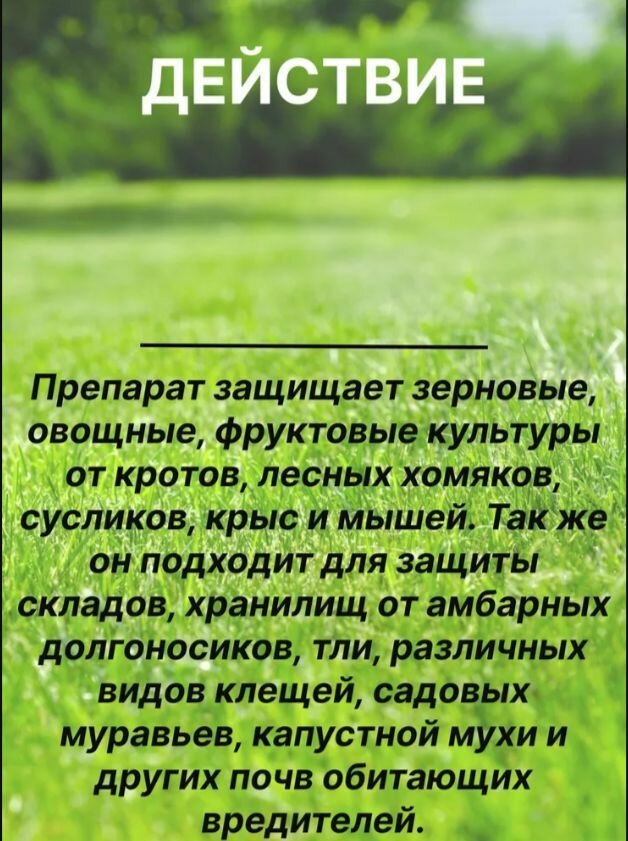 Дакфосал Антикрот 10 упаковок по 3 таблетки, средство от грызунов ! - фотография № 8