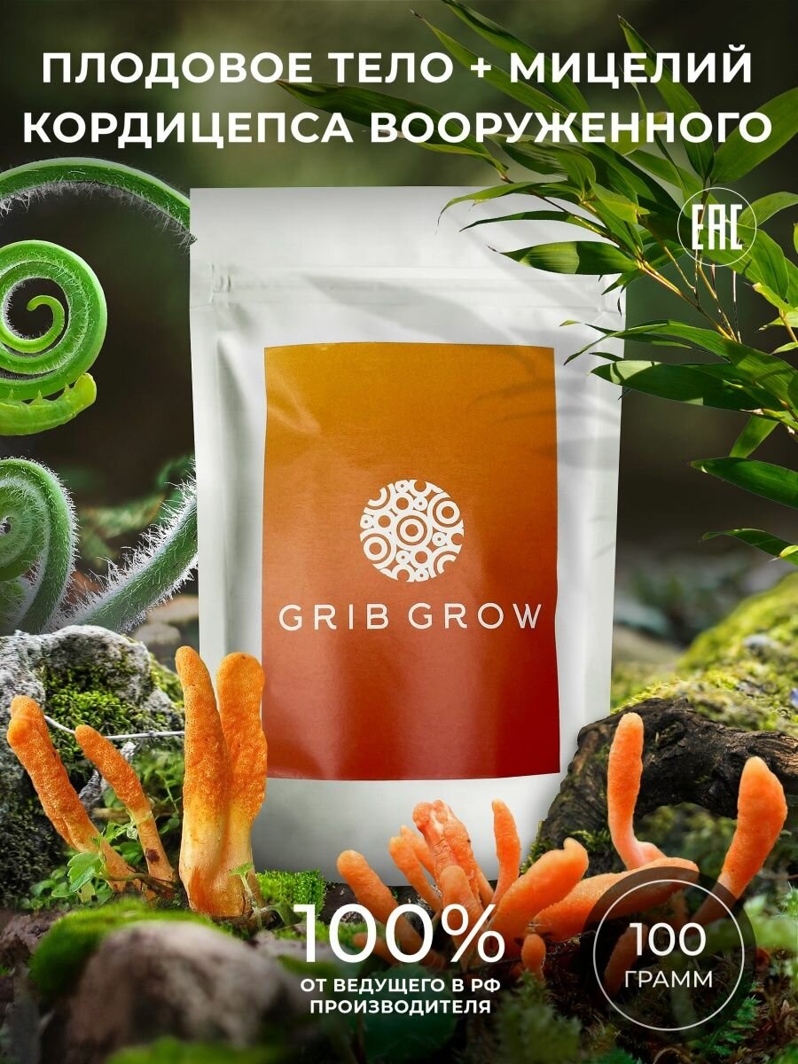 Кордицепс вооруженный плодовое тело + мицелий Grib Grow - 100 грамм